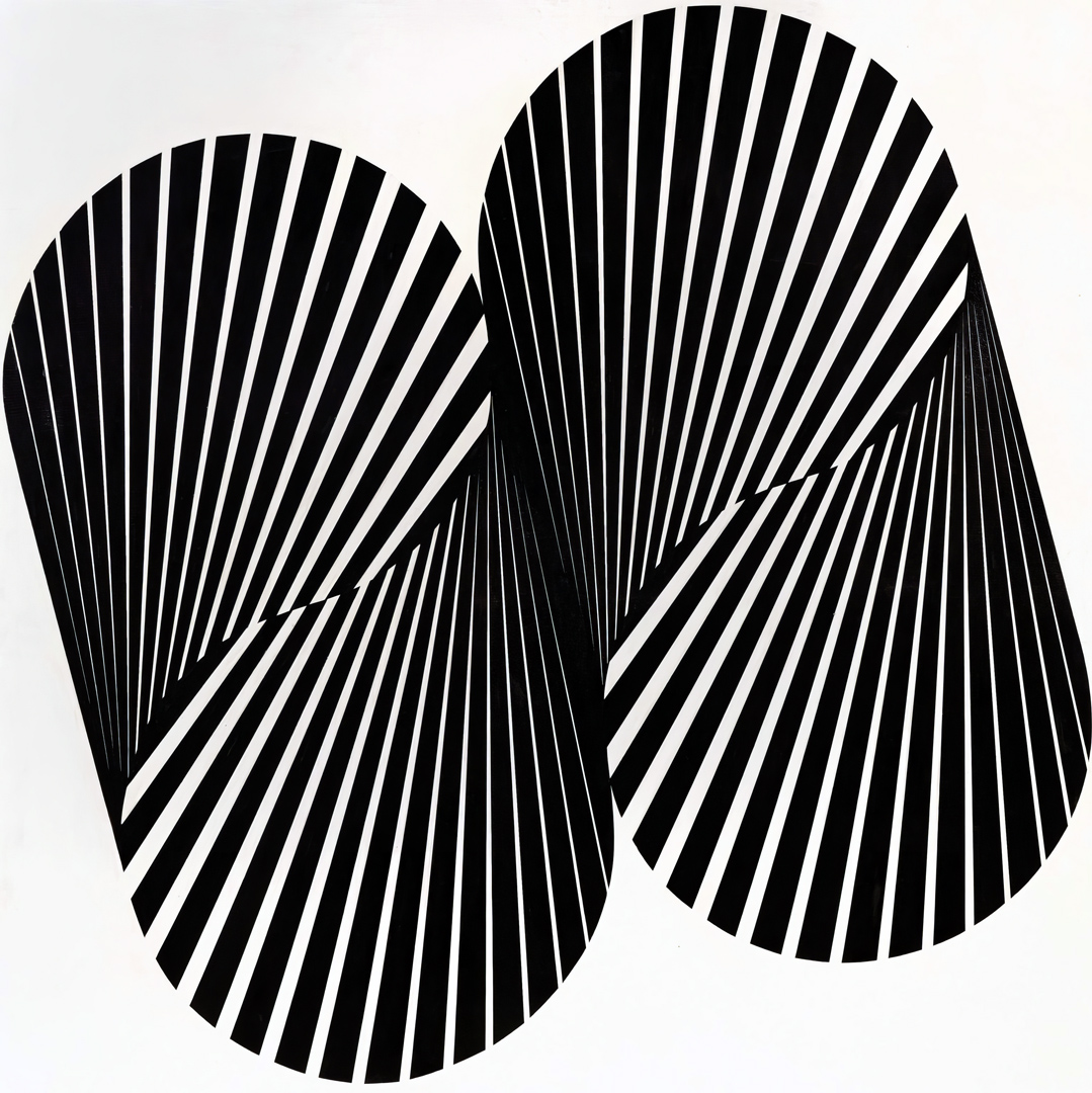 Franco Grignani, Evoluzione centripeta, 1965
