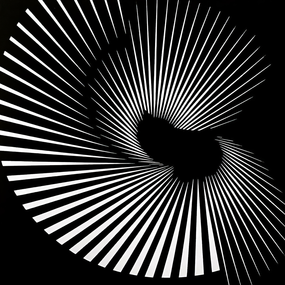 Franco Grignani, Trauma spaziale, 1965